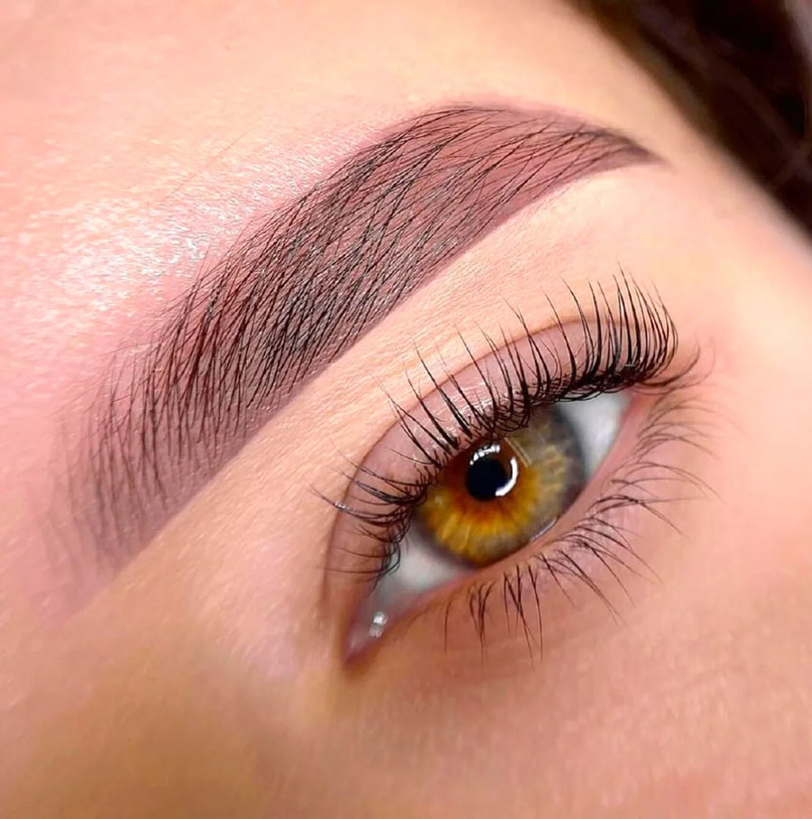 Signature treatments ÉLAN Lash & Brow